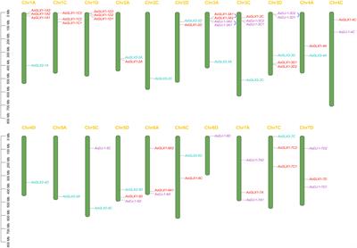 Genome-wide analysis and expression profiling of glyoxalase gene families in oat (Avena sativa) indicate their responses to abiotic stress during seed germination